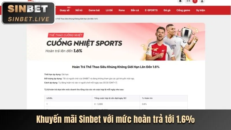 Chương trình hoàn trả và VIP của 36win
